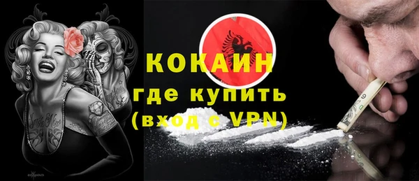 кокс Алексин