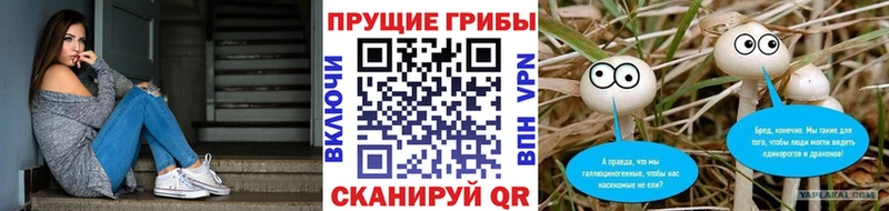 Псилоцибиновые грибы мицелий  где купить   Кольчугино 